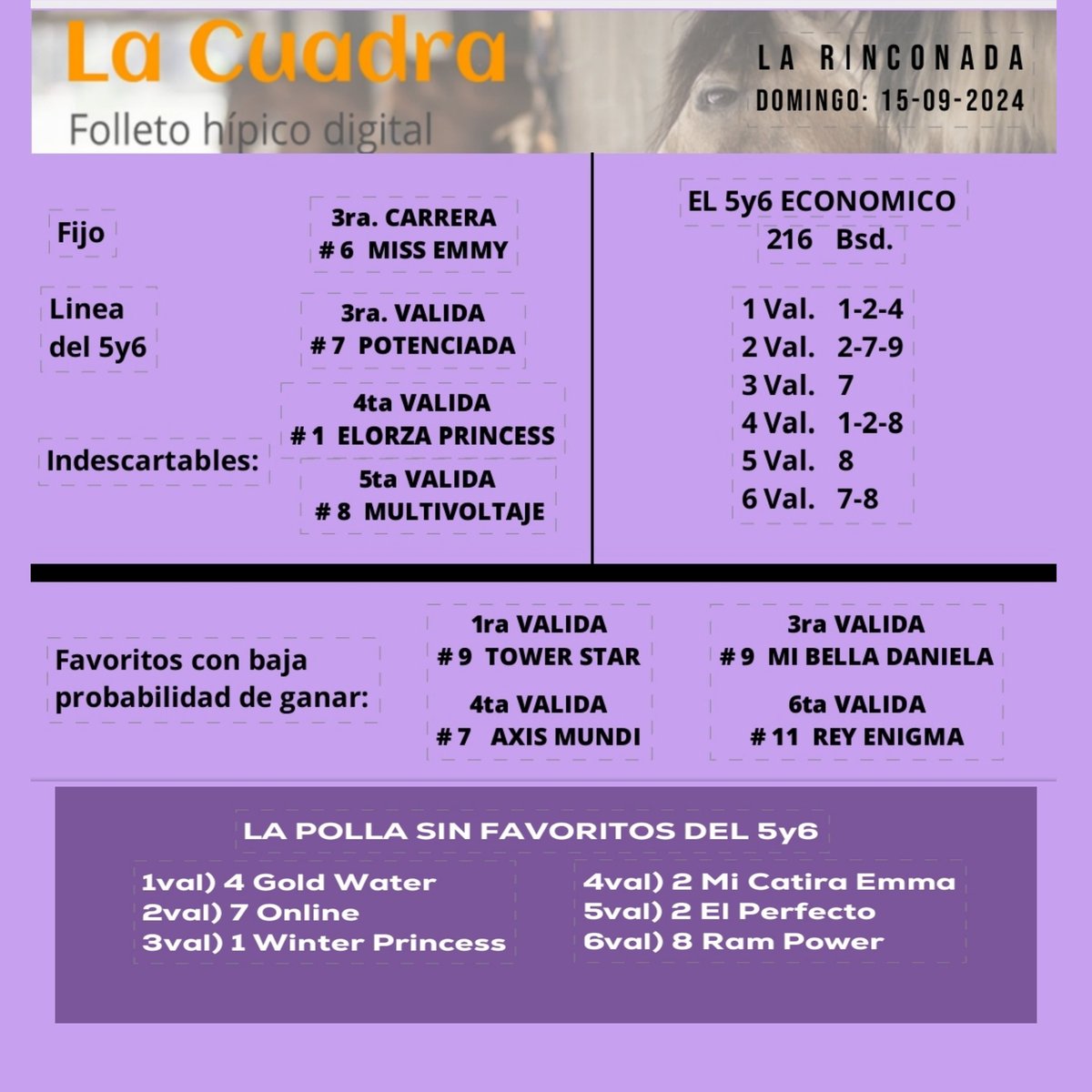 Resumen Favoritos  La Cuadra 
Folleto Digital.
Domingo 15 Septiembre 2024
#Hipismo 
#LaRinconada
