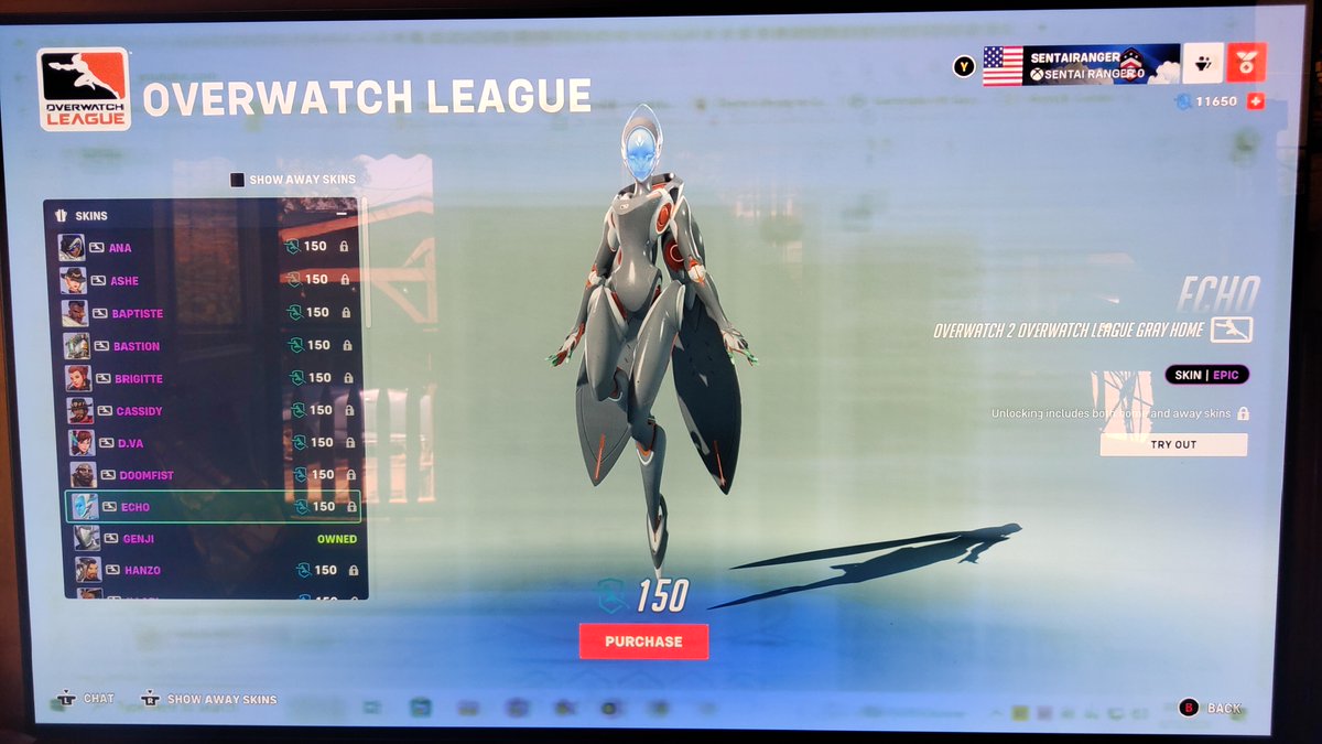 MrTeamPlayer37's tweet photo. @OWCavalry Theirs 4 Echo duplicate skins for OWL and OWC. Any differences other then the name change? Blizzard messed up. https://t.co/UQIZlDwnWR