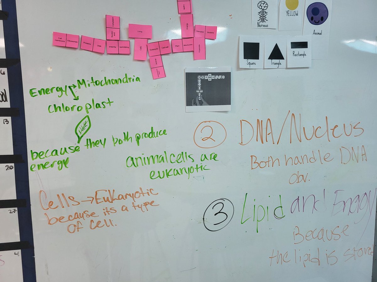 Kaitlyn Zoesch, M. Ed tweet media