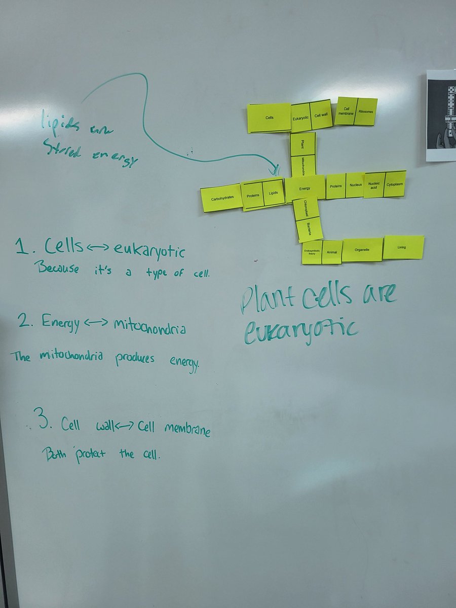 Kaitlyn Zoesch, M. Ed tweet media