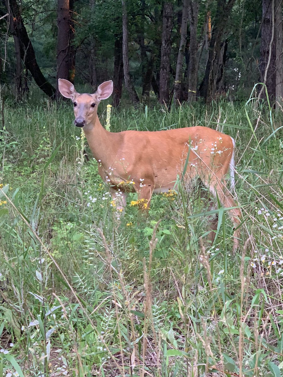 Ashley (@ashley653724718) on Twitter photo 