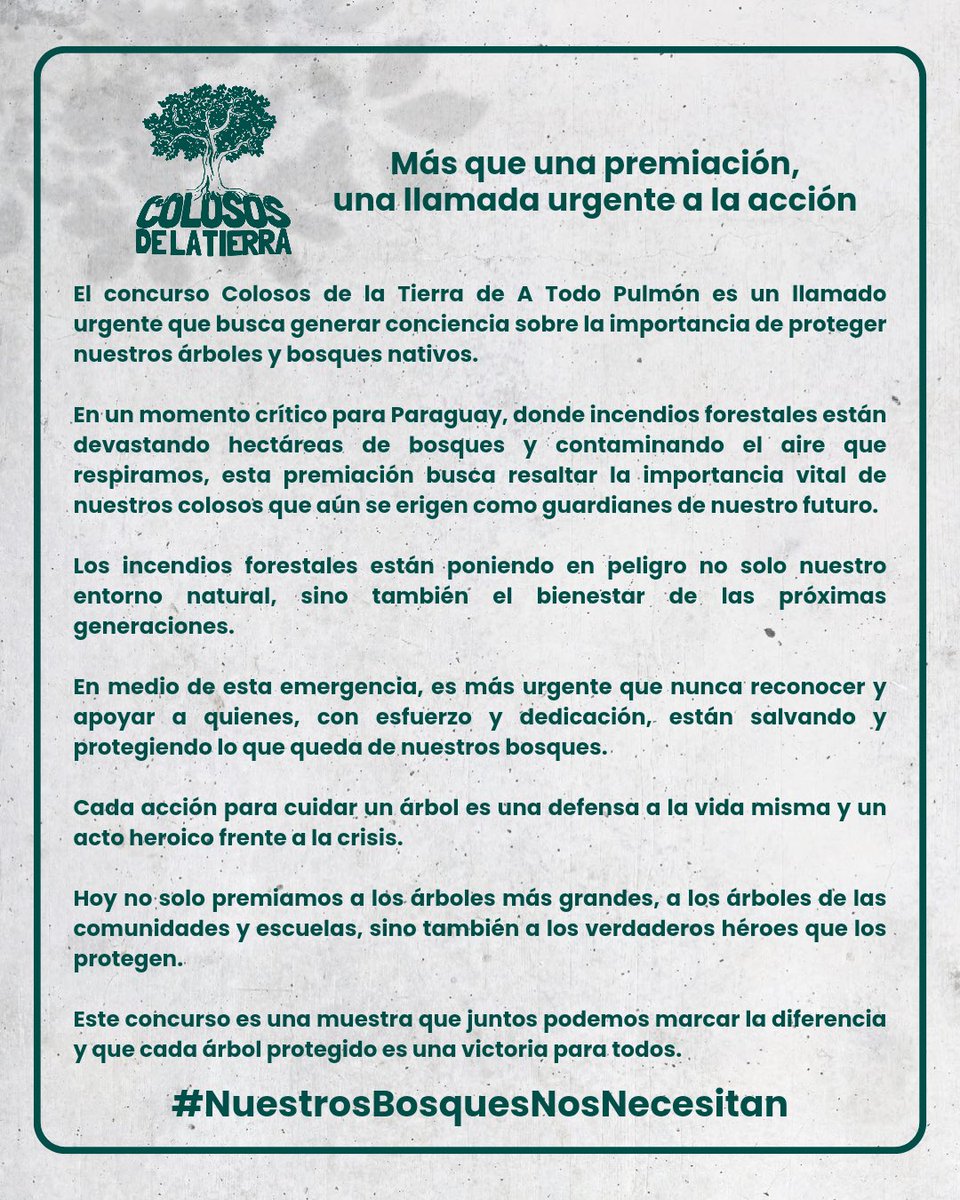 A Todo Pulmón Paraguay Respira tweet media