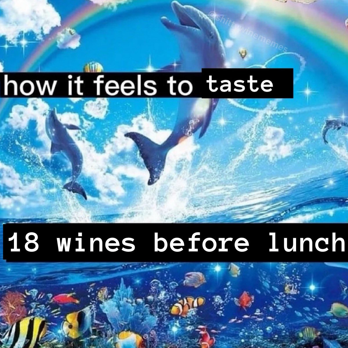 Shitty Wine Memes (@shittywinememes) on Twitter photo 