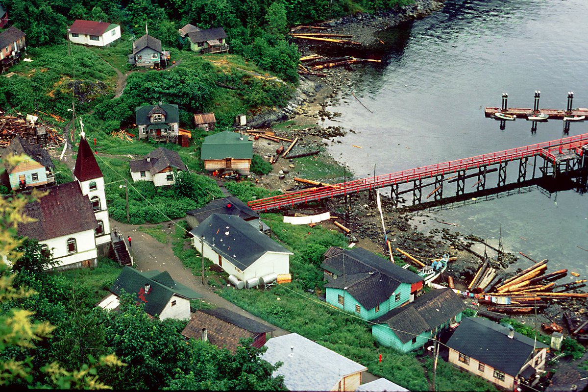 Homalco Wildlife & Cultural Tours tweet media