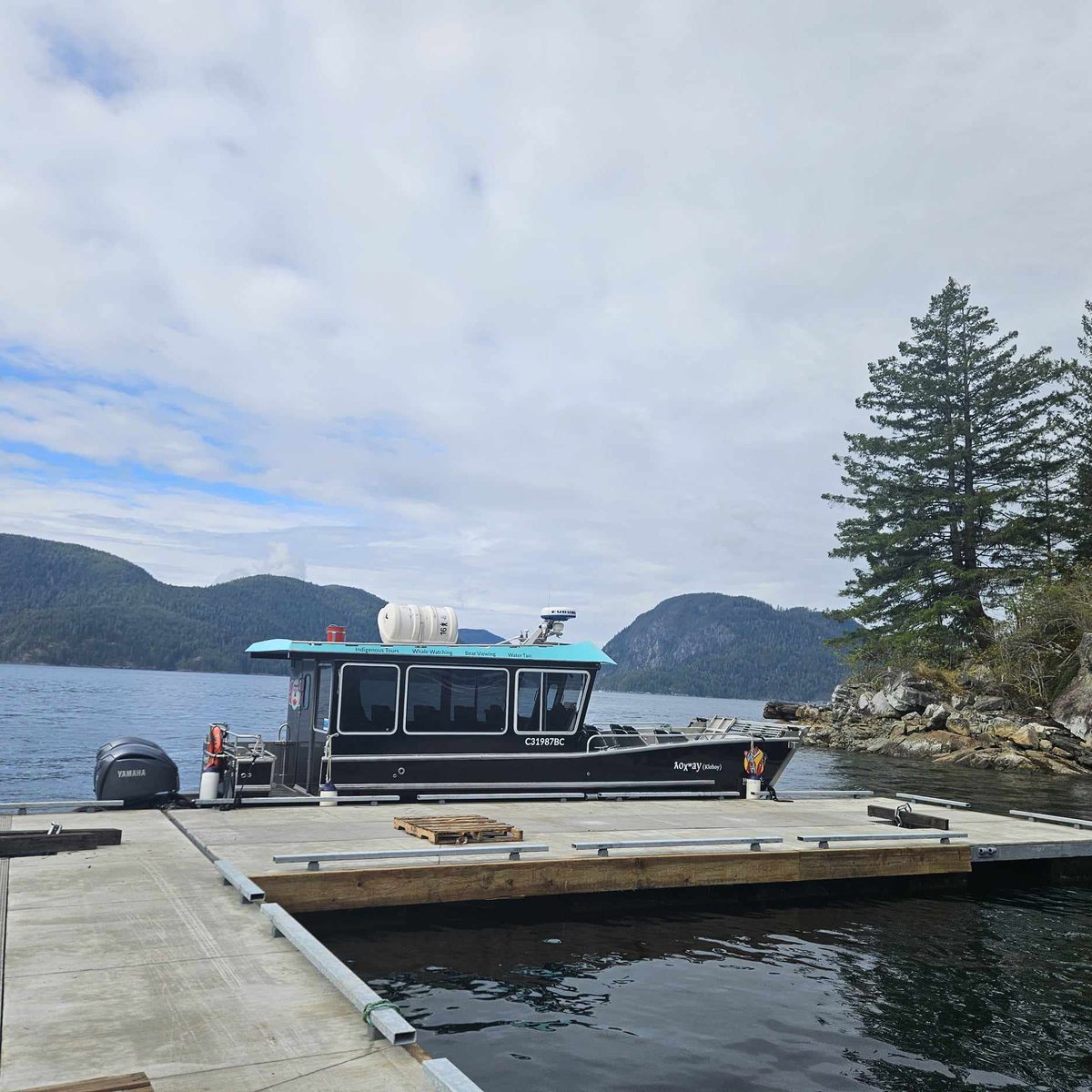 Homalco Wildlife & Cultural Tours tweet media