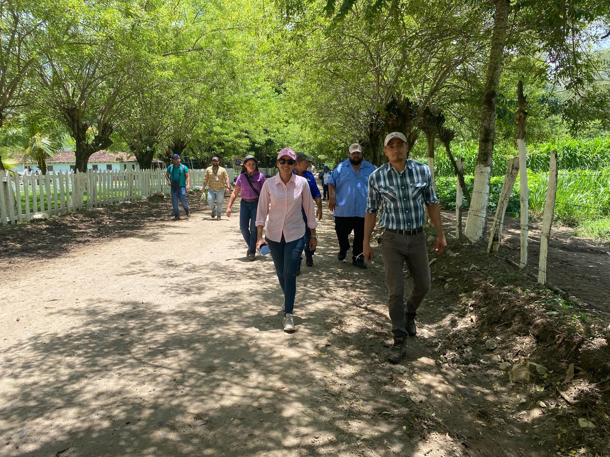 ProlecheES's tweet photo. En el marco del proyecto "Construcción de la NAMA en Ganadería Bovina de El Salvador", nuestra presidenta de la Junta Directiva de PROLECHE, Melissa Espinal, participó en la gira de intercambio de experiencias desarrollada en Honduras del 19 al 23 de agosto
#Ganaderos
#ElSalvador https://t.co/aPSDIQDB7c