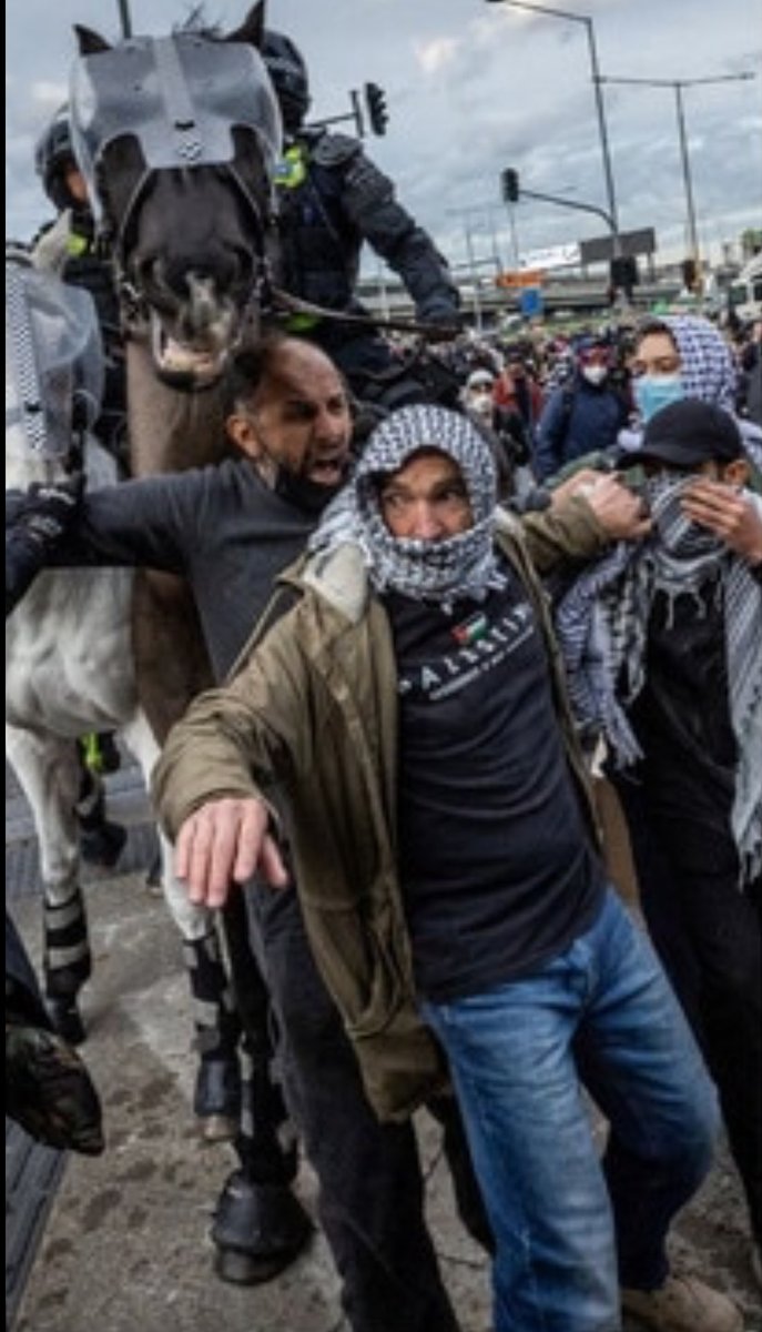 Menachem Vorchheimer tweet media