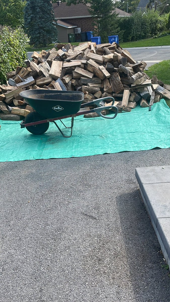 LyndonFPS tweet media