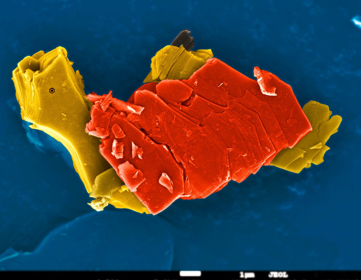 Dr. Anupma Thakur 🇮🇳 (@anupmathakur92) on Twitter photo Excited to share that our MXene Shuckle Snail nanoart image has been selected as the Image of the Month for August and featured by <a href="/JEOLUSA/">JEOL USA</a>!
Grateful to Prof. <a href="/banasori/">Babak Anasori</a> for inspiring guidance!
#nanoart #scienceart #scienceoutreach
#creativity #scicomm
<a href="/LifeAtPurdue/">Purdue University</a>
<a href="/2dMxenes/">2D MXenes</a> Excited to share that our MXene Shuckle Snail nanoart image has been selected as the Image of the Month for August and featured by <a href="/JEOLUSA/">JEOL USA</a>!
Grateful to Prof. <a href="/banasori/">Babak Anasori</a> for inspiring guidance!
#nanoart #scienceart #scienceoutreach
#creativity #scicomm
<a href="/LifeAtPurdue/">Purdue University</a>
<a href="/2dMxenes/">2D MXenes</a>