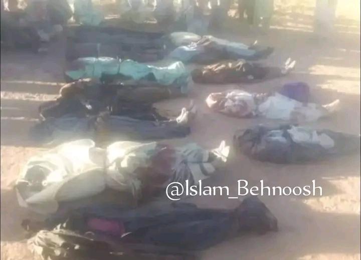 شهدای امروز در مرز ولایت دایکندی و غور

#StopHazaraGenocide
