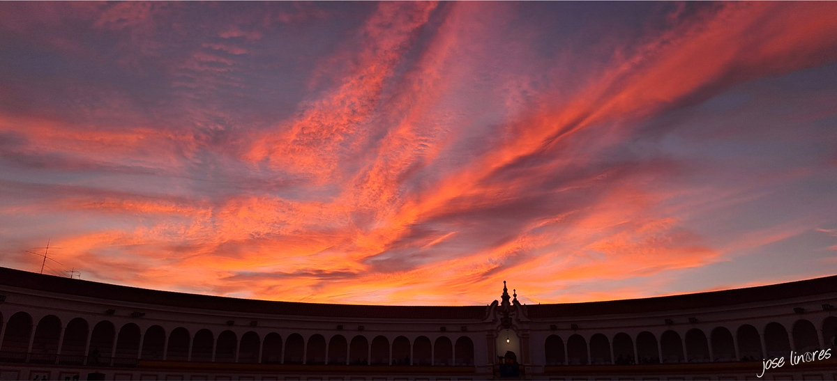 Jose Linares tweet media