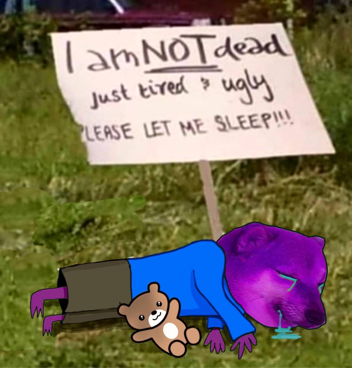 <a href="/Noahhweb3/">Noah 🌌</a> $soge
First coin on Solana that burned LP
Contract 8 days older than $bonk
So it deserves it.
BTW the doge is purple