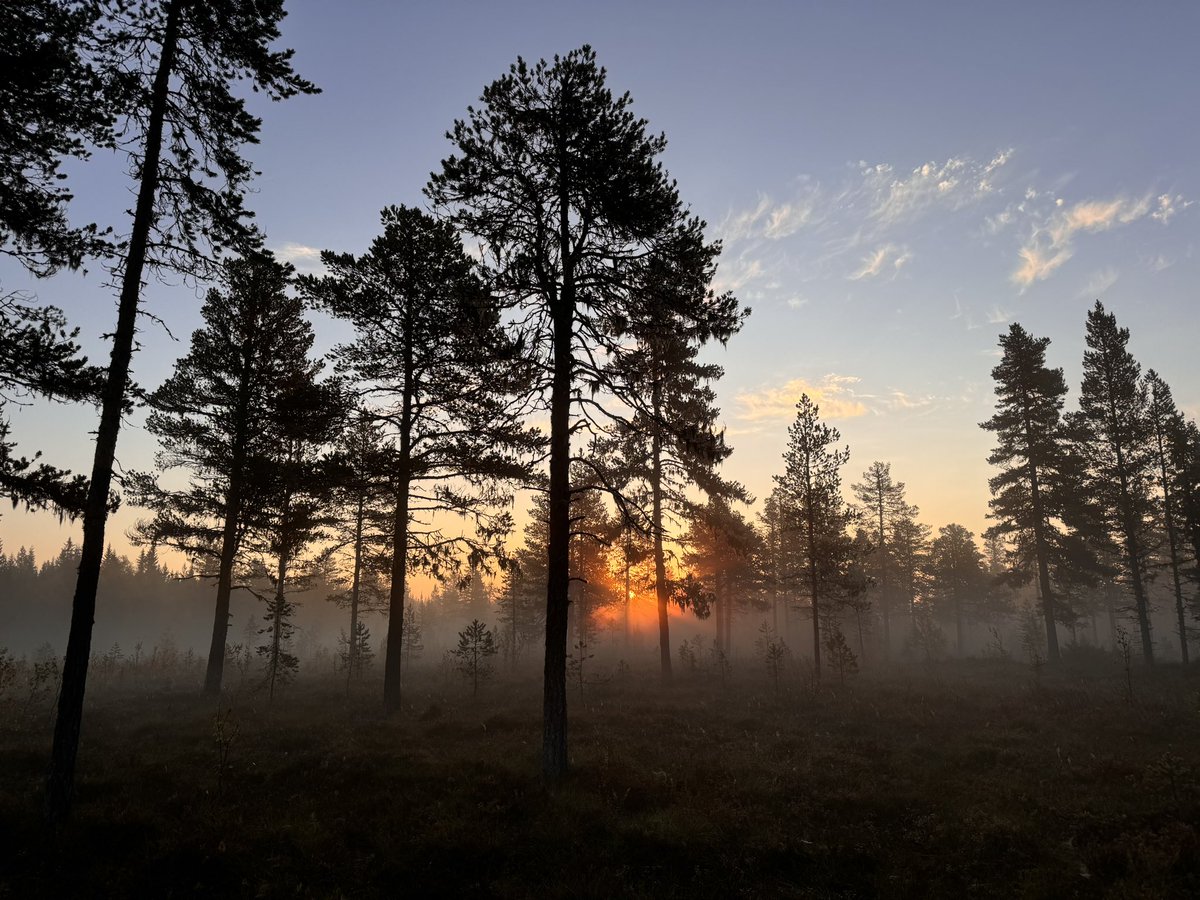 Tord Ringenhall (@ringenhall) on Twitter photo 