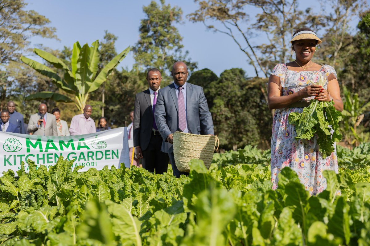 MamaRachelRuto's tweet photo. Kitchen gardens are a simple yet powerful tool for promoting food and nutritional security, where families and school-going children grow their vegetables. At State House, I launched a pilot program for the National Kitchen Gardens project, which is part of a broader national food security initiative led by women across all counties.