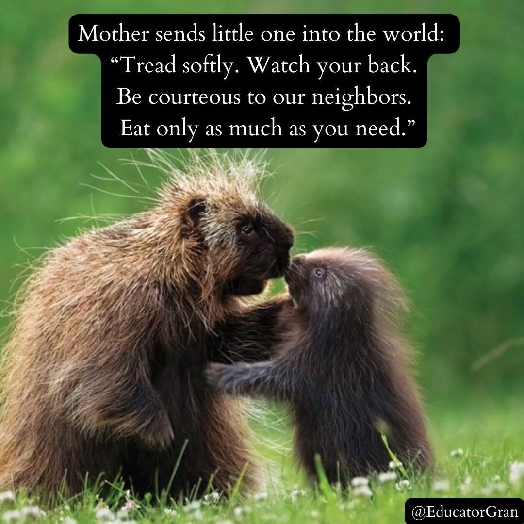 EducatorGran's tweet photo. Outfoor life. Mom’s have great advice. In fact, this advice is just what ‘ll put into practice today. Why not everyday?  #momadvice #practice practicepractice  #todayeveryday https://t.co/8B76ZhNFhS https://t.co/FTlXLRSWH8