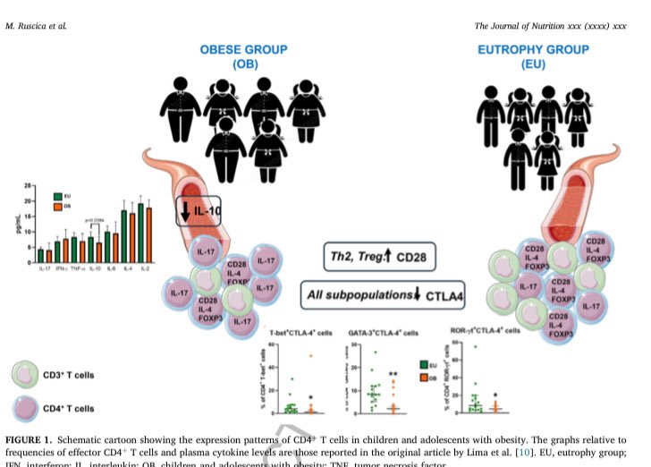 Obesity can be memorized by immune cells and stored in CD4* T cells, Read our last editorial Unraveling the Link Between Immunity and Obesity in Adolescents <a href="/ClaudioMauro6/">Claudio Mauro</a> <a href="/AtheroMad/">AtheroMad</a>