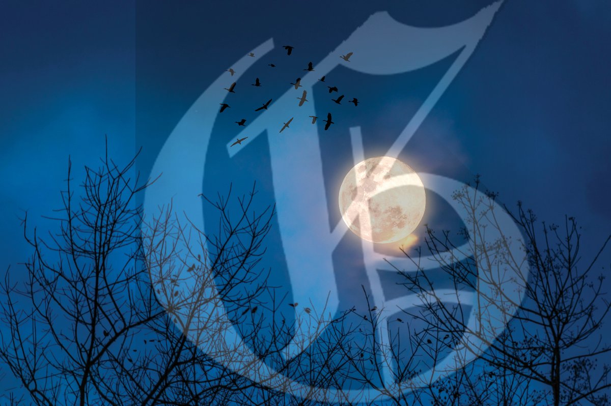 HammGazette's tweet image. 👻🎃 Friday the 13th Spooky Special! 🎃👻
For ONE DAY ONLY—Friday, 9/13/2024—subscribe to The Hammonton Gazette and enjoy 13 weeks of delivery for only $13! Just use code 13 when you call us at 609-704-1939 to start your subscription.
#FridayThe13th #SpookySpecial #13For13