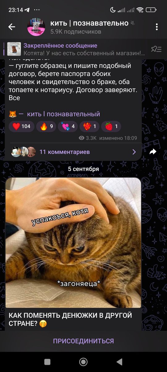 gorobchuk92's tweet photo. Продалась. Теперь буду публиковаться где то тутъ https://t.co/zUN51KnzaZ