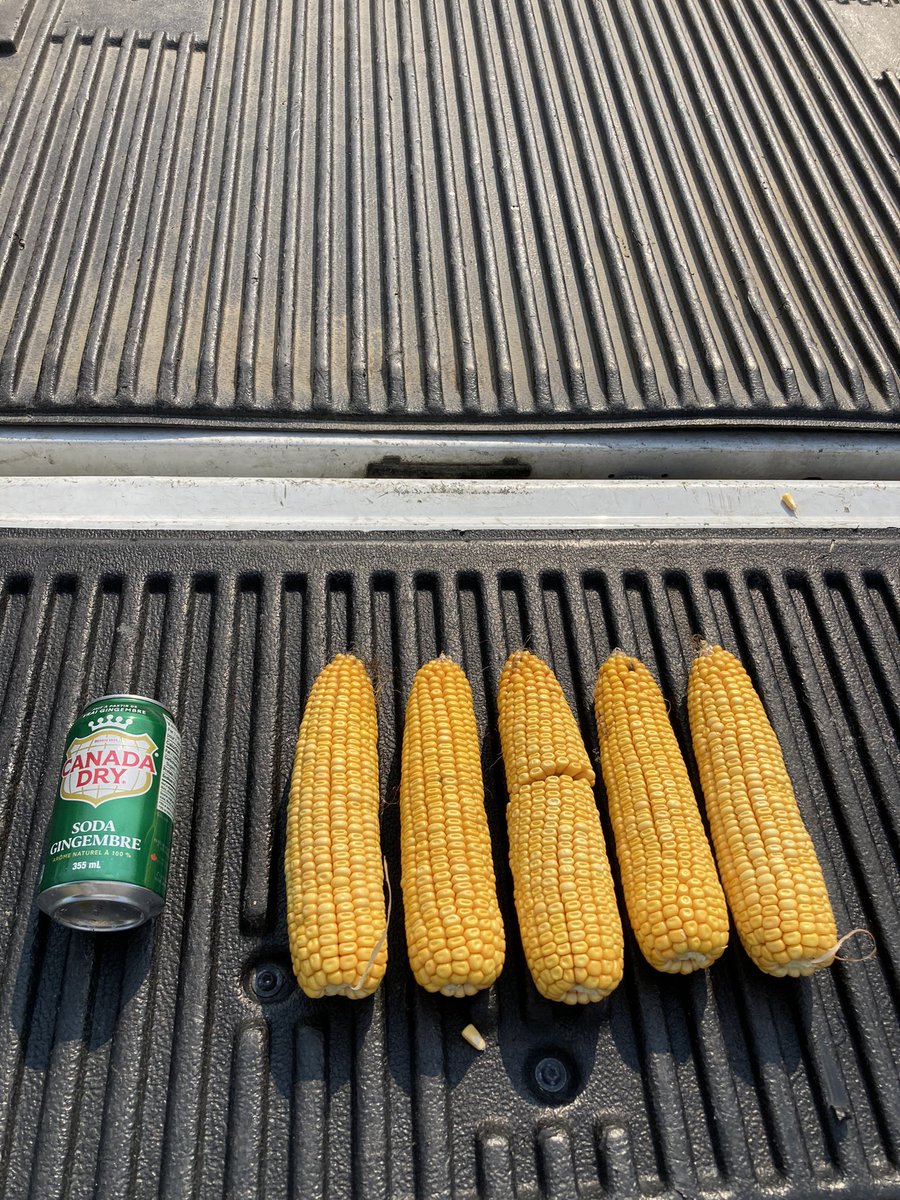 logel_chris's tweet image. Can’t hardly wait to weigh off this beast of a hybrid again this year!  P9466