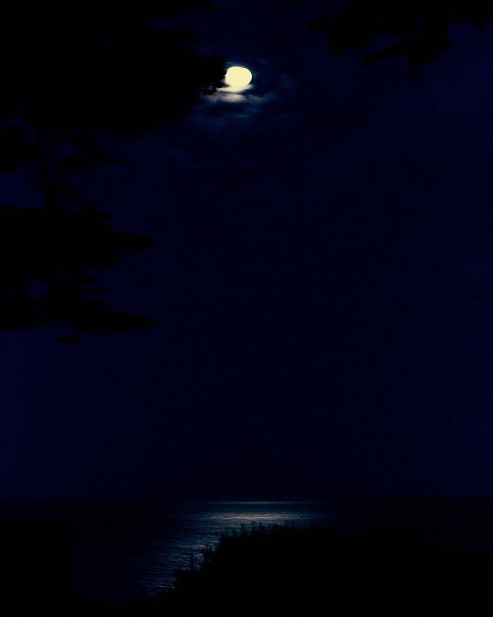 tbgonz's tweet photo. #photoghraphy #searanch https://t.co/dCraUhODwX
