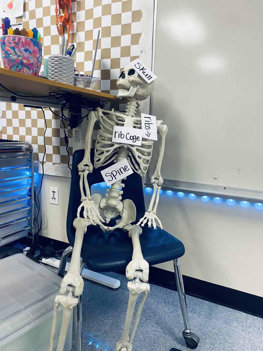 1st grade Bowie Patriots are really enjoying their new student to help them learn about the Human Body in Unit 2 Knowledge!