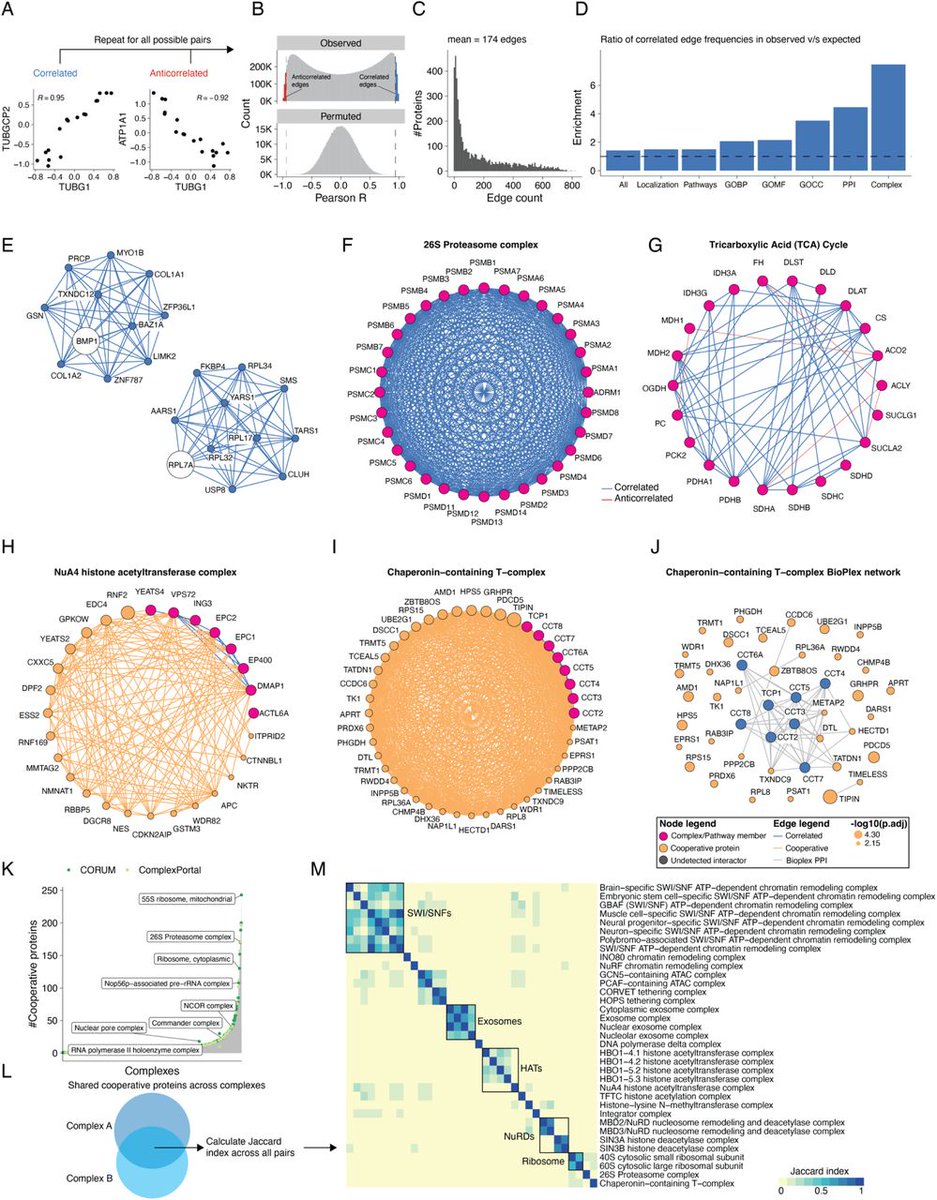 Devin Schweppe tweet media
