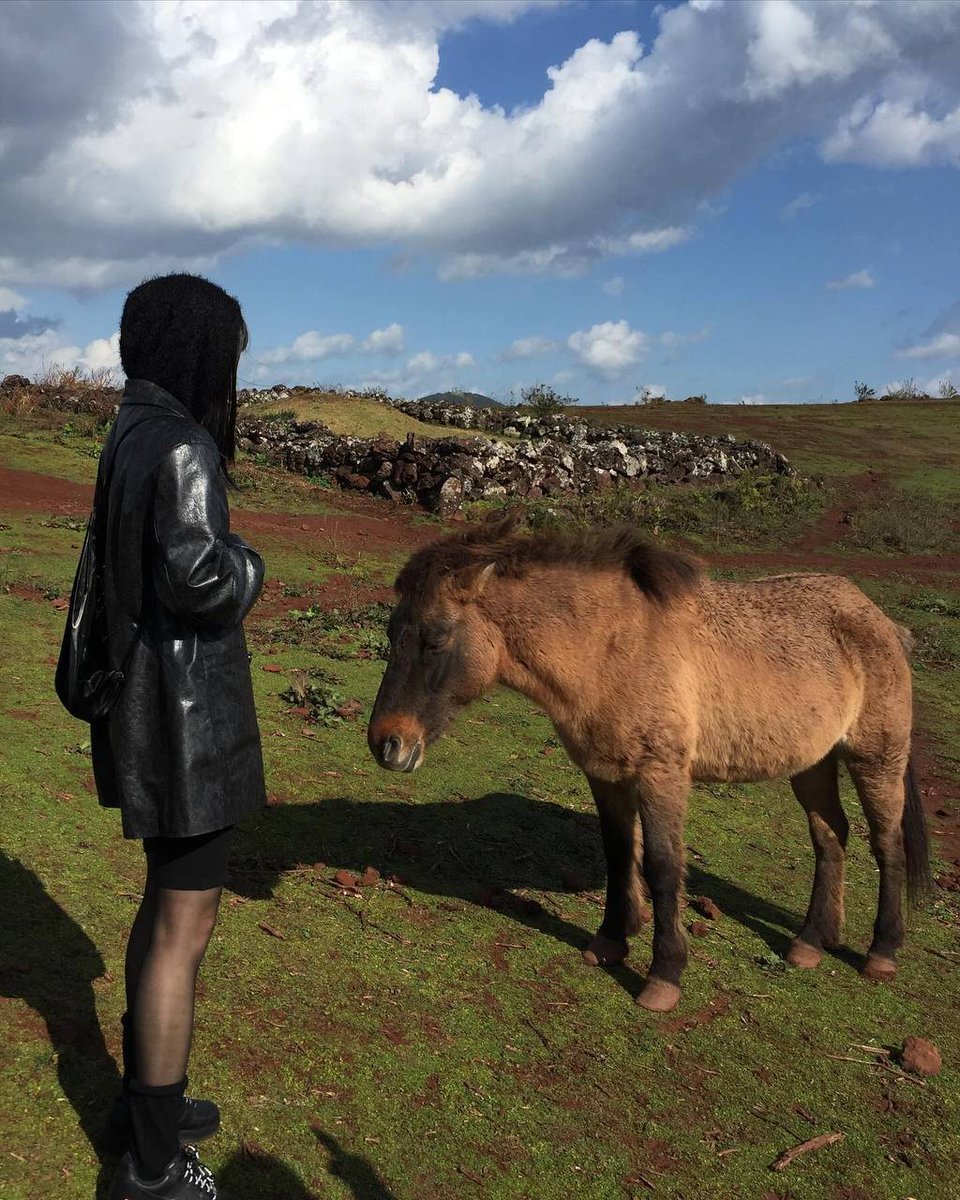 yuiitanakaa's tweet image. 비가 와서 못 올라가는 줄 알고 절망했던 30분, 방황 후 펼쳐진 모습은 너무 아름다웠다🤎 바로 포기하고 갔다면 너무 아쉬웠을 것!