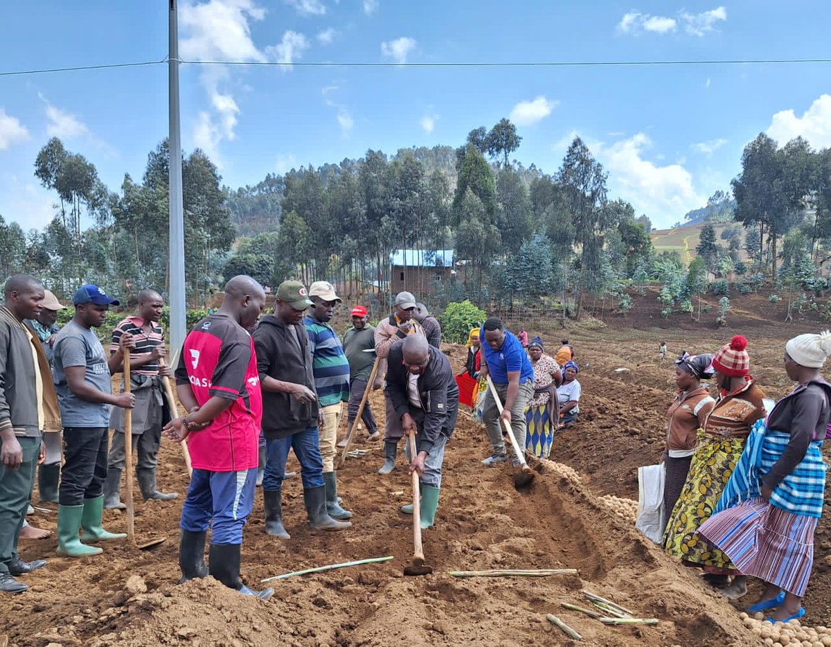 Farmers' Potato Academy (FPA) in Rwanda tweet media