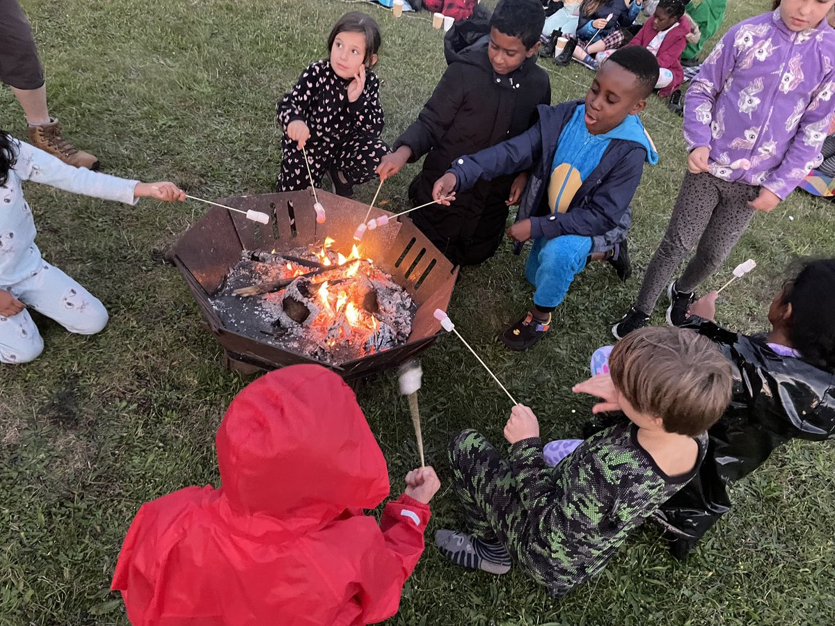 Kaizen Primary tweet media