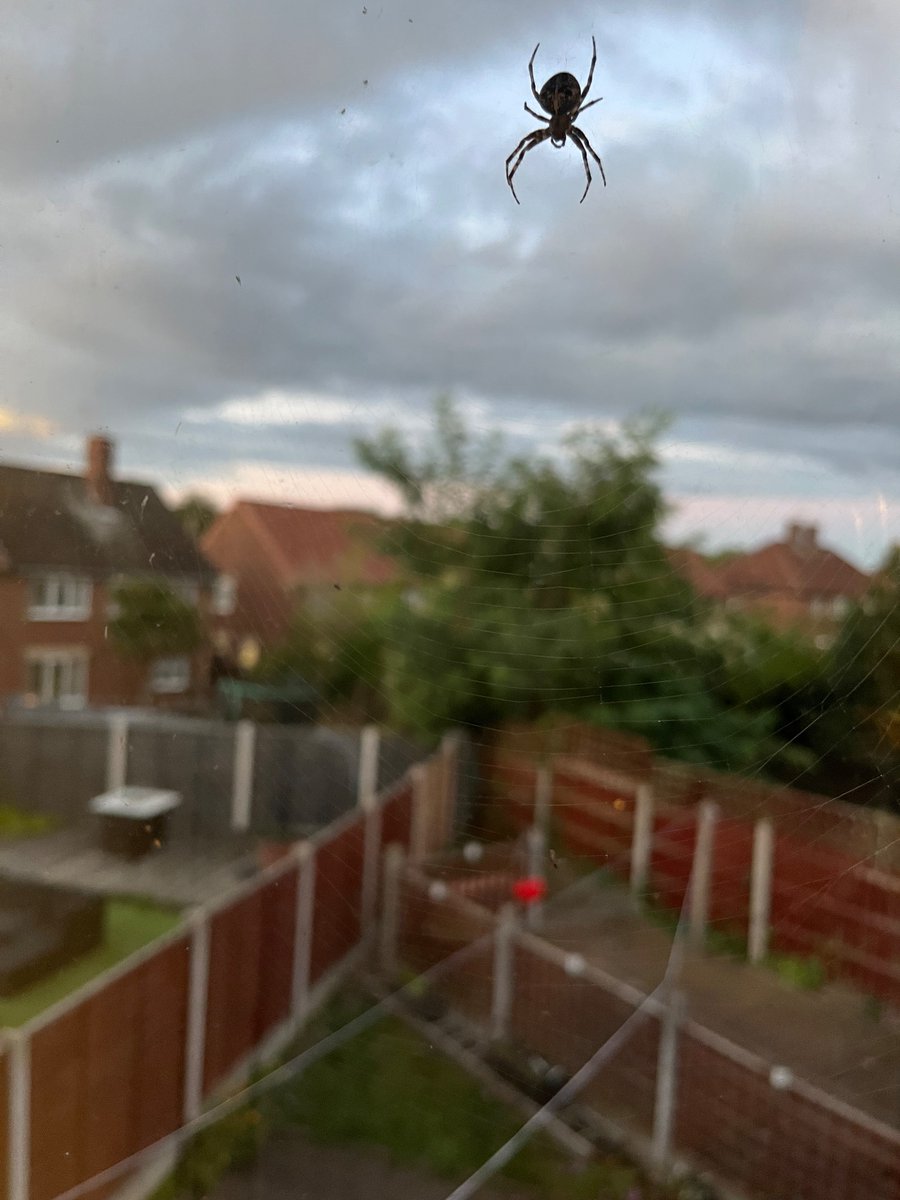 James Garside tweet media