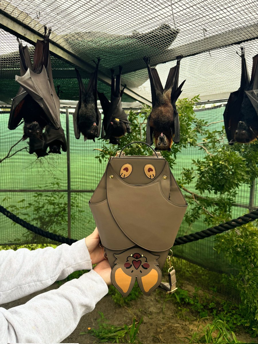 andpierres's tweet photo. bat's outta the bag -- or the bat is the bag? EITHER WAY, i'm so excited to share that the batpacks will be collaborating with @BatConservancy !! they've so graciously taken the batpack under their wing & shown him around the conservancy this week 🥺🦇 https://t.co/WPFKitVctb