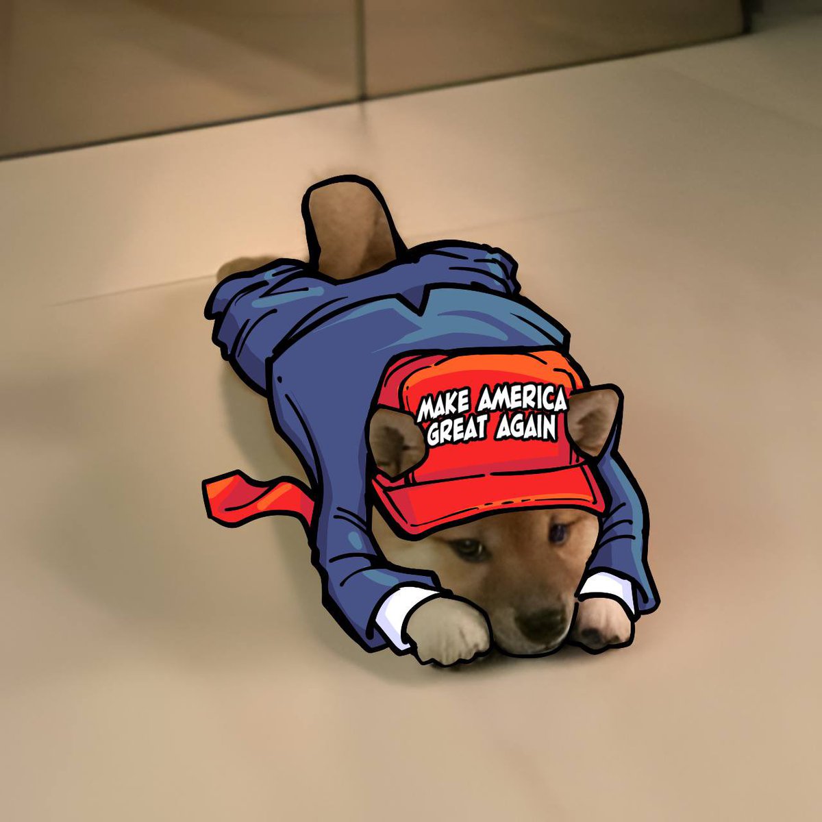 HyperPies's tweet image. MAKE CRYPTO GREAT AGAIN

🇺🇸 x 🐕 

$INU @inuviction