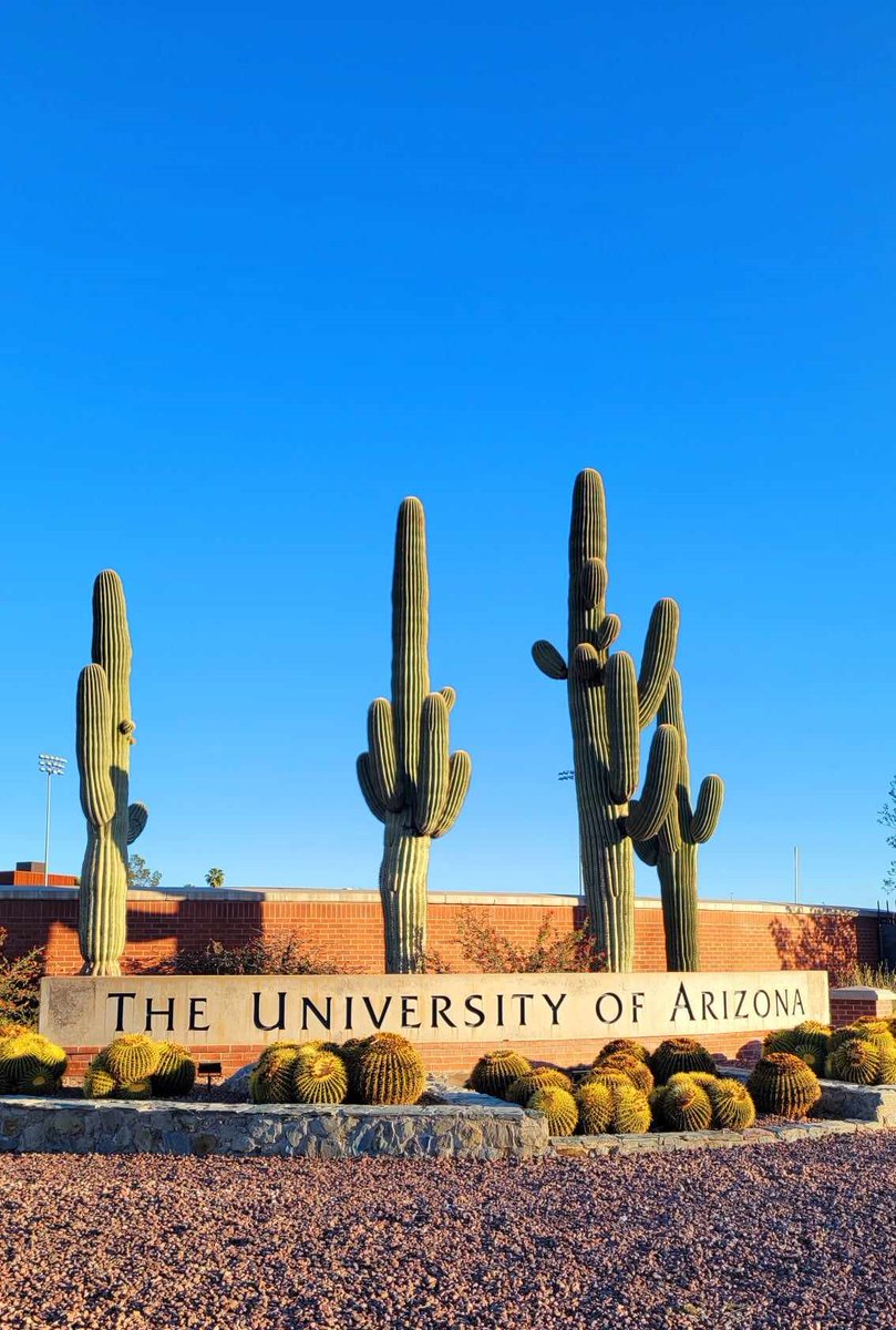 Dr. Milla Titova tweet media