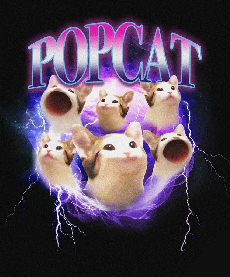 $POPCAT

Kraken spot listing for Popcat on September 19th.

The thesis is becoming a reality before our eyes bros. 

Back above $0.64 and ready to rock. 

You do not own enough Popcat. 

It is the DOGE of cat coins. 

People are not prepared for how stupid cat season will be.