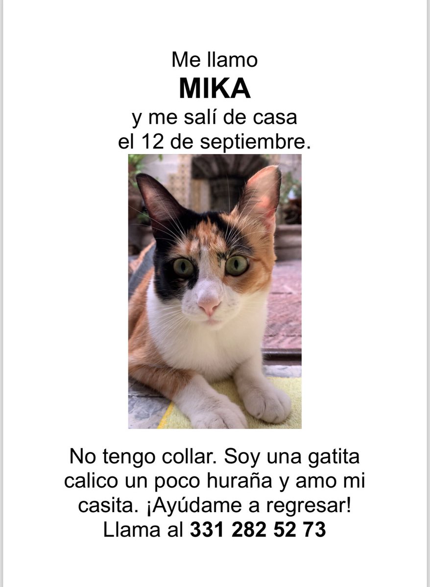 nellylanderos's tweet photo. No encuentro a mi gatita. Se salió de casa la mañana de este 12 de septiembre, en #AlcaldeBarranquitas en Guadalajara. 

¡Ayúdenme a que vuelva! 😪

@AlcaldeBarranqu https://t.co/6DRrsMtj4C