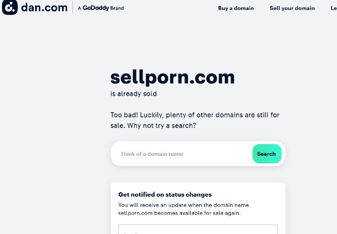 NovelDomains's tweet image. On sarcastic note!

#Domain #selling now over. 
 Dan #undeveloped may #sellporn now! 

😲😱

So happy for #GoDaddy. 

What happened to their #CEO ,  he sold his shares days ago ( no #insidetrading 🤫). Any news if he has resigned already ?

 🤔