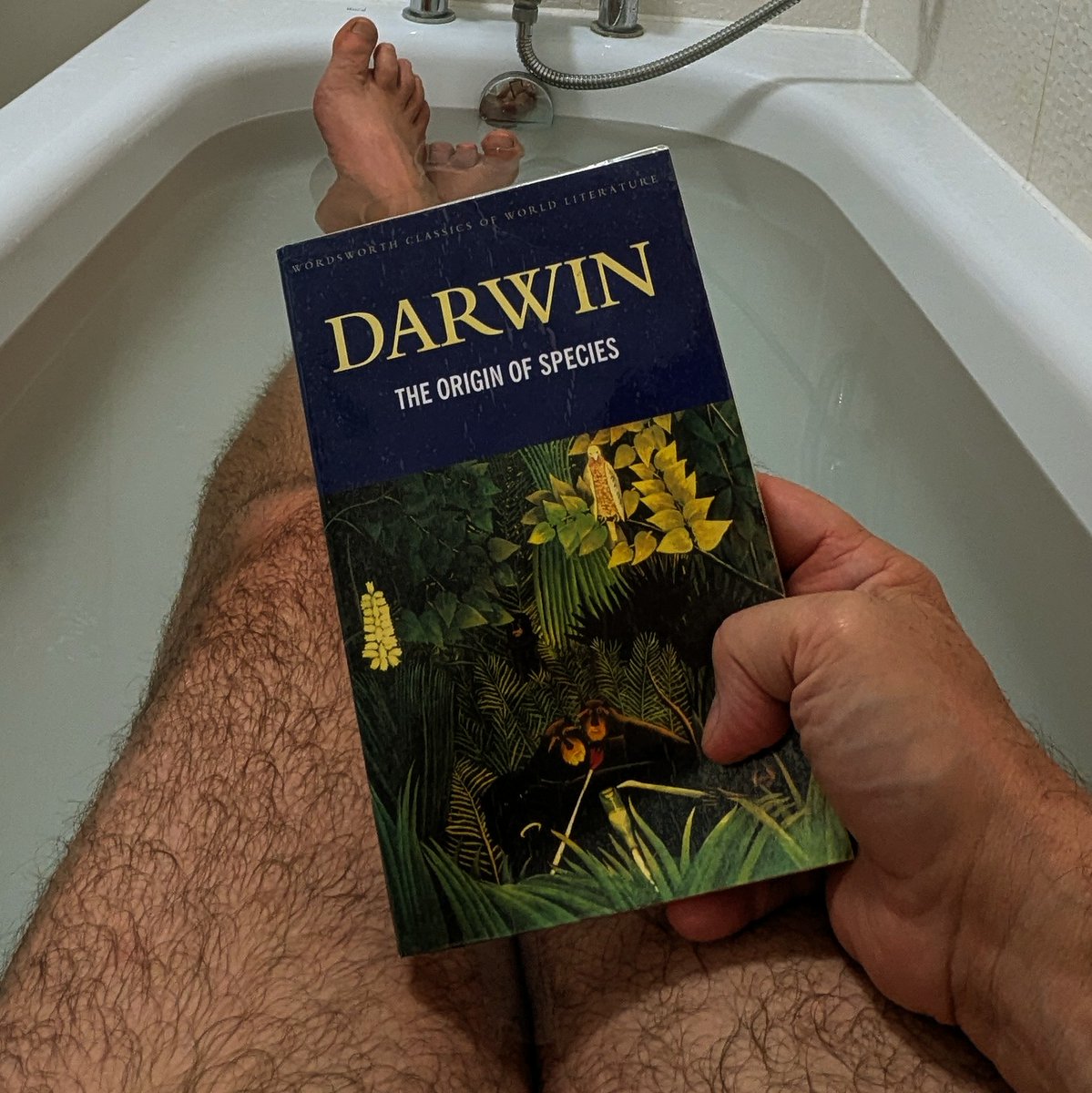 clothesfreeuk's tweet photo. After visiting his house on money I suppose I'd better have a look at his masterpiece 🐒🫎🦁🦣🦘🦜🦠🌳🌵🌾🦋👣
#barefoot #barefootandnaked #naked #CharlesDarwin #evolution #man  #originofspecies #downhouse #kent
#naturallivingstyle #naturalliving #naturalhumanbeing #treeoflife https://t.co/e2sYv61Hqy