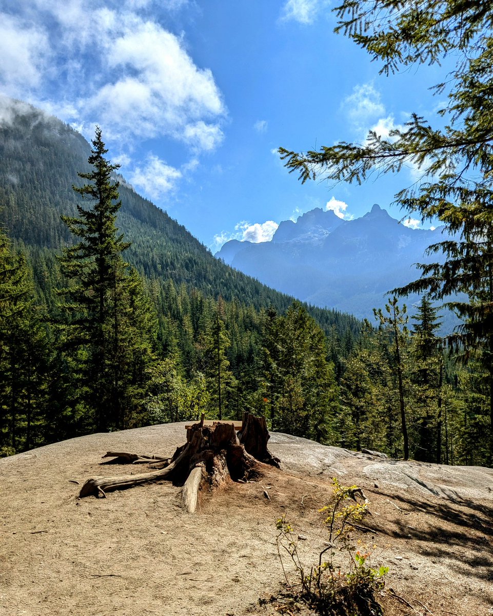 Jamie Smith tweet media