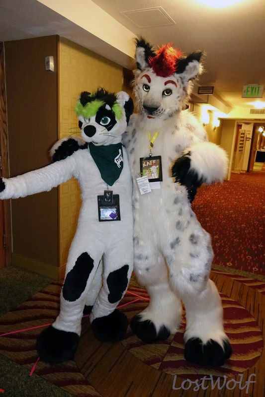 Wulf ʕ•ᴥ•ʔ 🔜 FWA tweet media