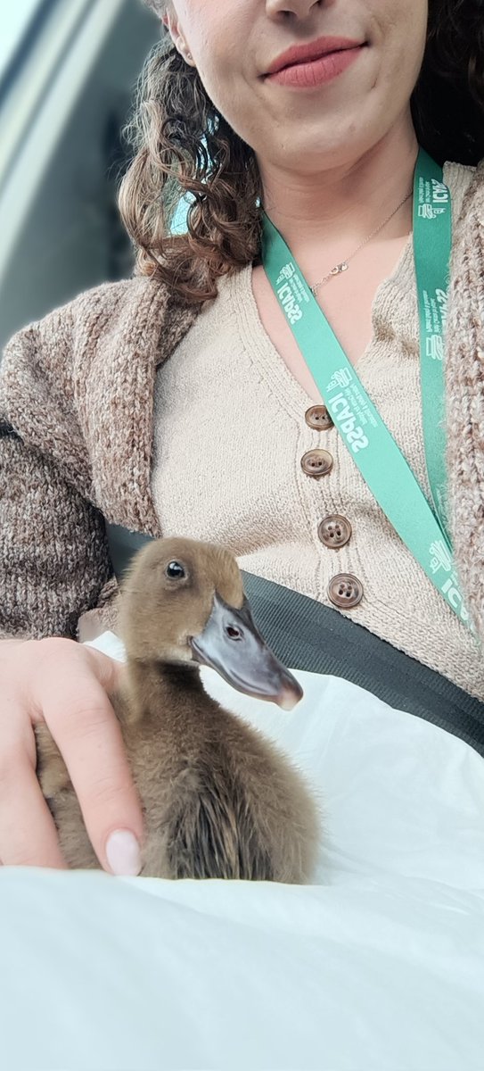 Bronwyn Reid McD tweet media