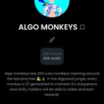 Photo by AlgoMonkeys.algo🐵🟨 (@AlgoMonkeys)
