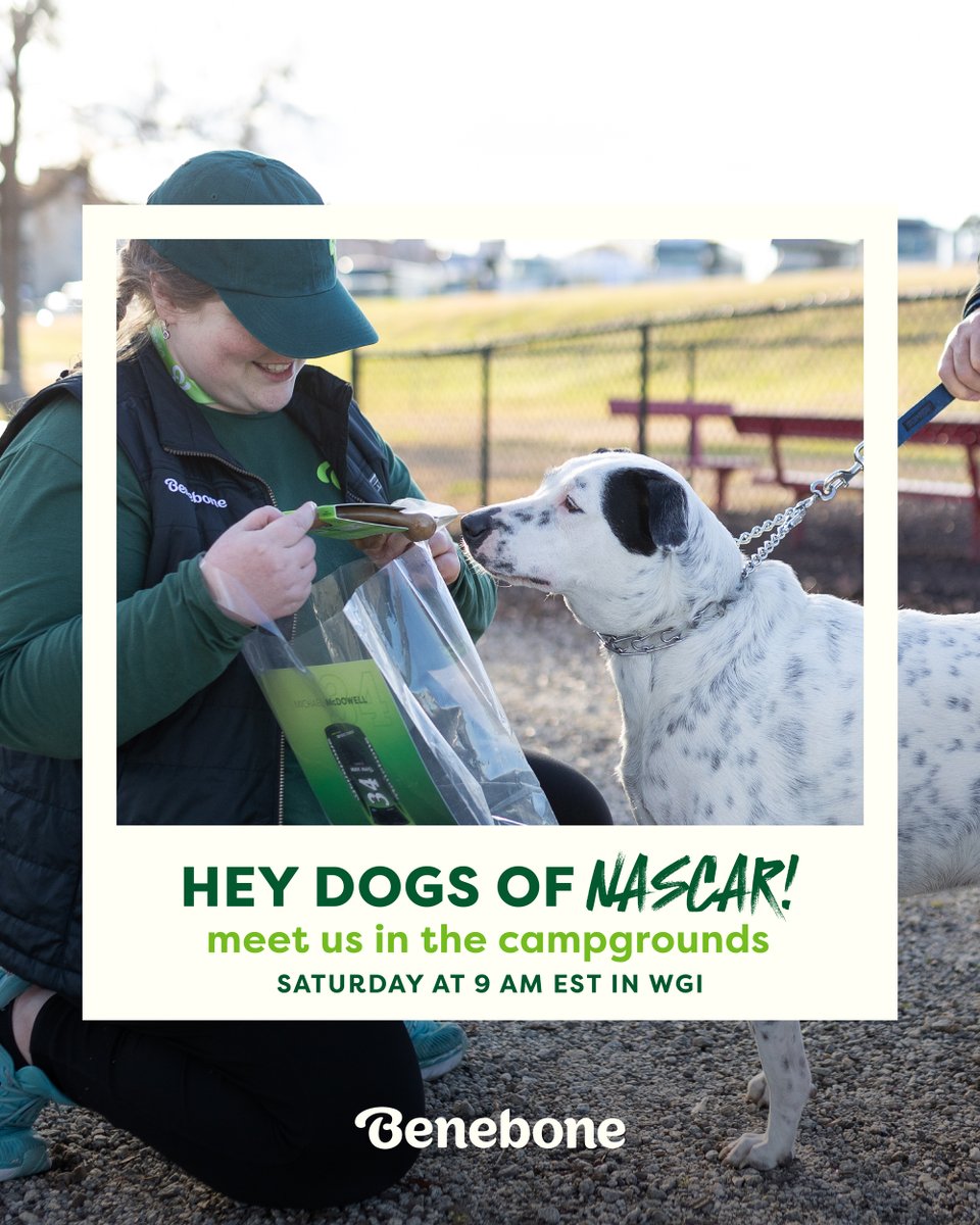 mybenebone's tweet photo. Hey #dogsofnascar — we’ll be out in the campgrounds at @WGI with @team_frm & @mc_driver around 9 a.m. on Saturday making tails wag! 💚 Keep your eyes peeled for us! 👀
#dogsofx #dogsoftwitter #zoomiesforthewin #ilovemydog #dogsdigus #bacongivesusthezoomies #dogsofny https://t.co/xzwP0S7hL1