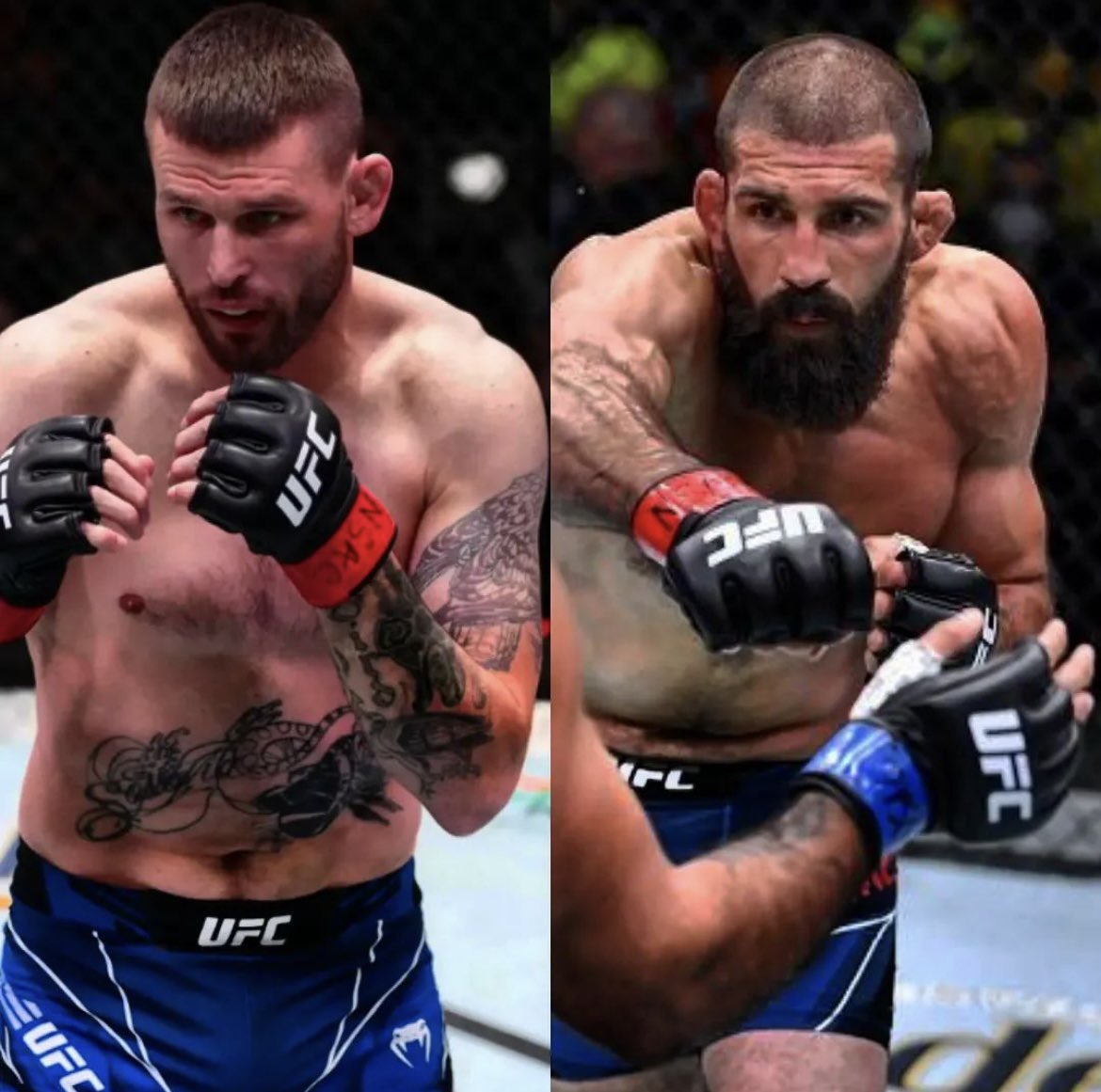 Court McGee tweet media