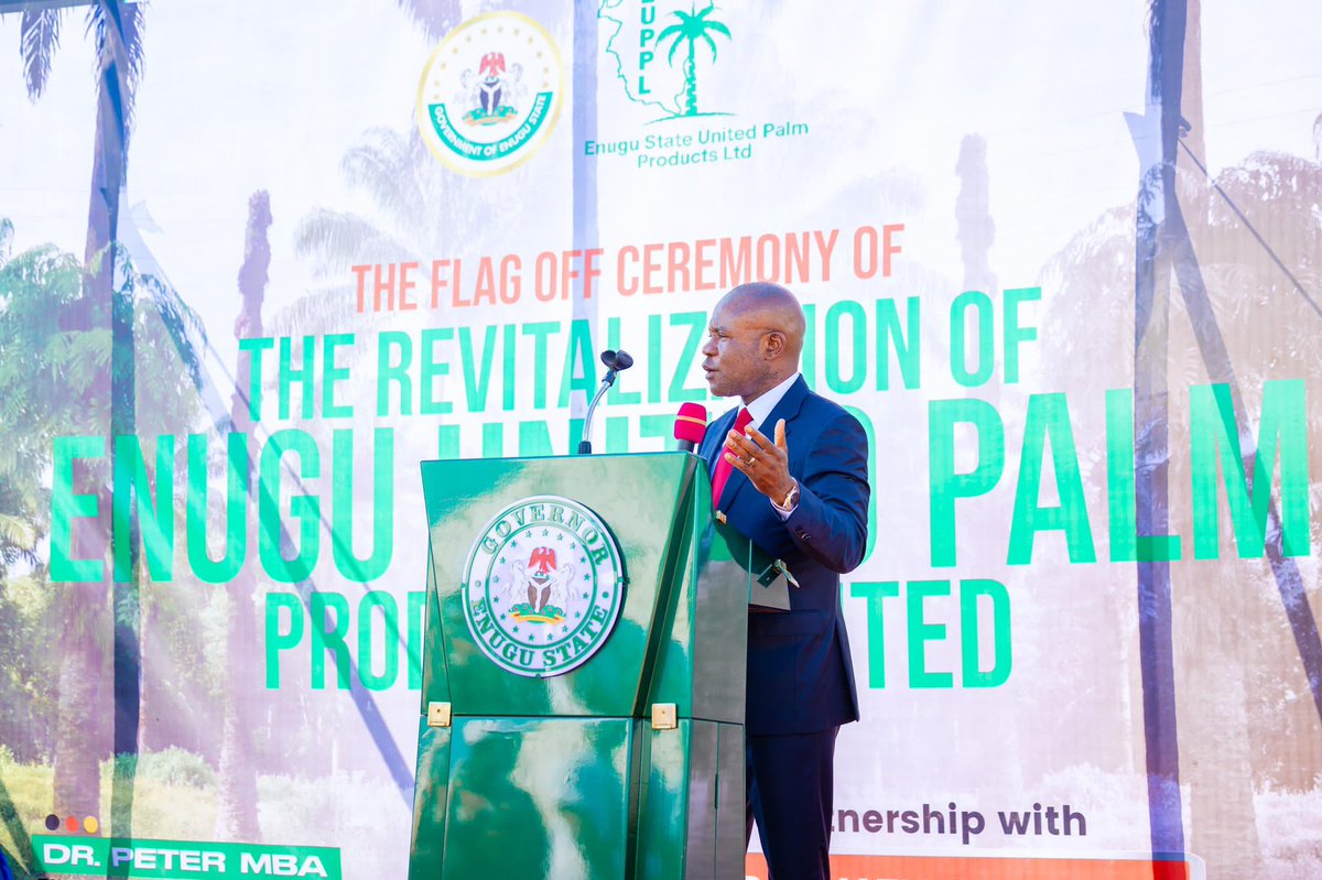 Peter Ndubuisi Mbah tweet media