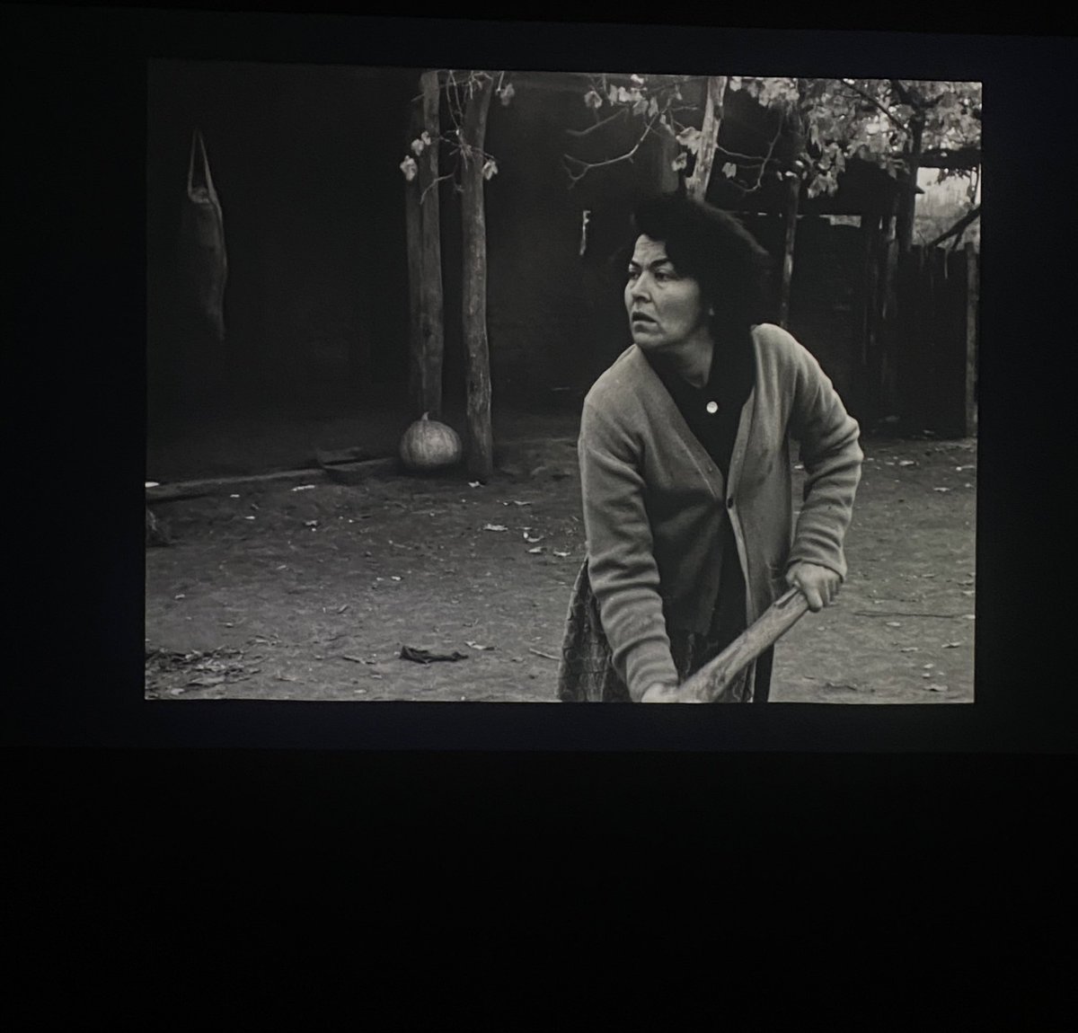 MoralescMarcelo's tweet photo. Revisando la nueva copia de El chacal de Nahueltoro hecha desde los negativos originales. Es como verla de nuevo! Se estrenará en la @CinetecaChile en el marco del Mubifest @mubilat. Pronto más info! https://t.co/9F9urOlBuK