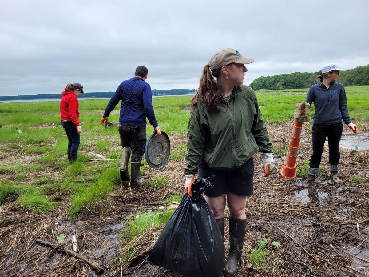 NH Dept Env Services tweet media