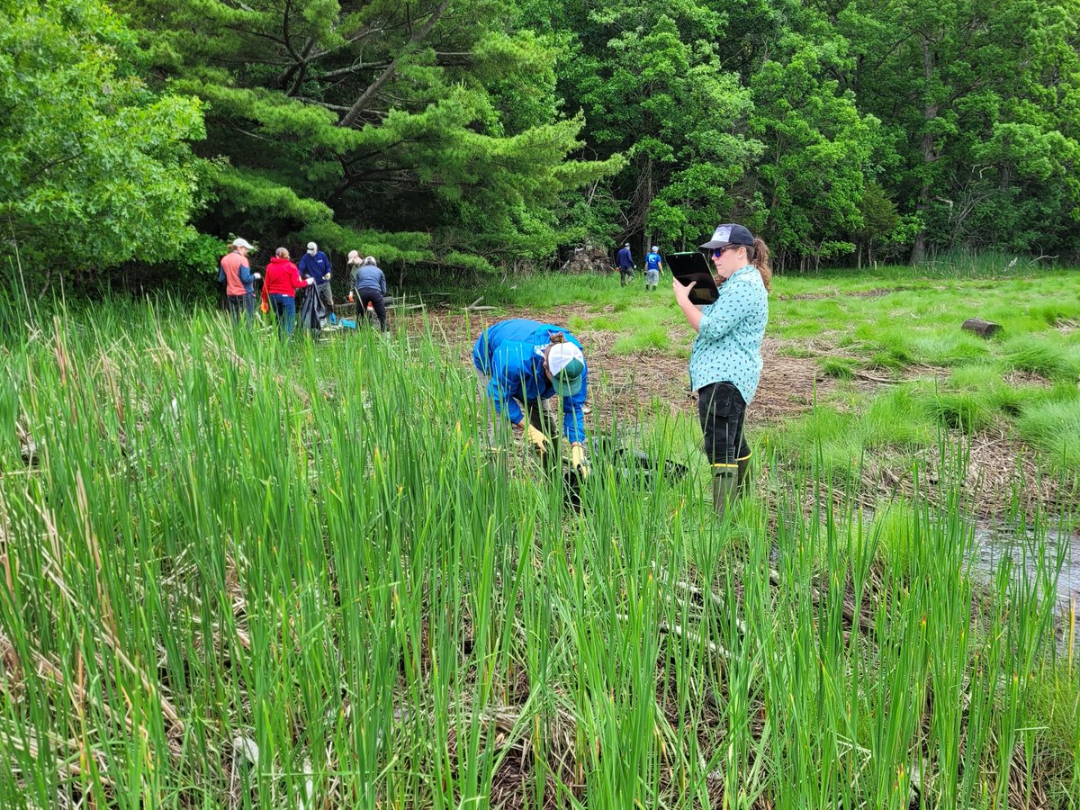 NH Dept Env Services tweet media