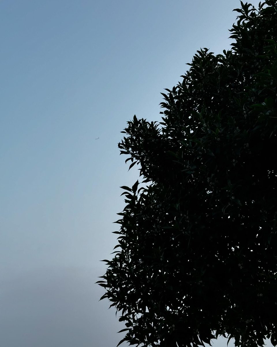 📸| Fran (@/franromerofran) ha publicado un post en Instagram