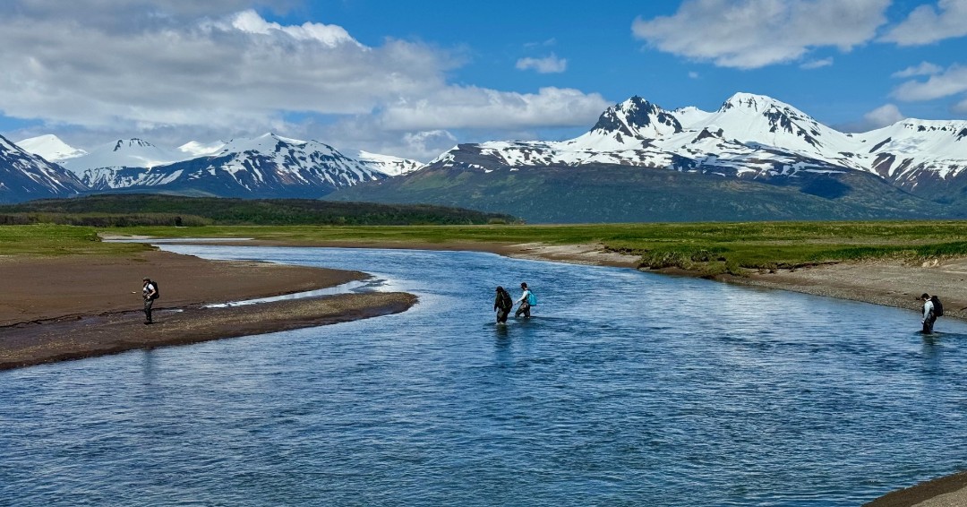Happy National Wilderness month from all of Katmai's 3.4 million acres of wilderness!

Newly designated this month with a proclamation from The White House.

Learn more about Katmai's wilderness by visiting: ow.ly/sZM550TmomR

NPS photo/L. Law