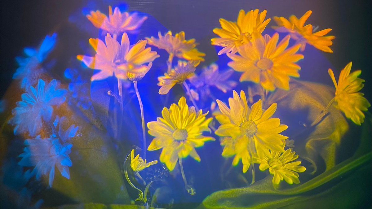 Holographic art is everywhere these days, but its origins are thanks to many women who pioneered a “new medium” in a golden age of collaboration between scientists and artists.

Meet the holographic artists and scientists who paved the way in #HoloWire.

buff.ly/4cZXgLr